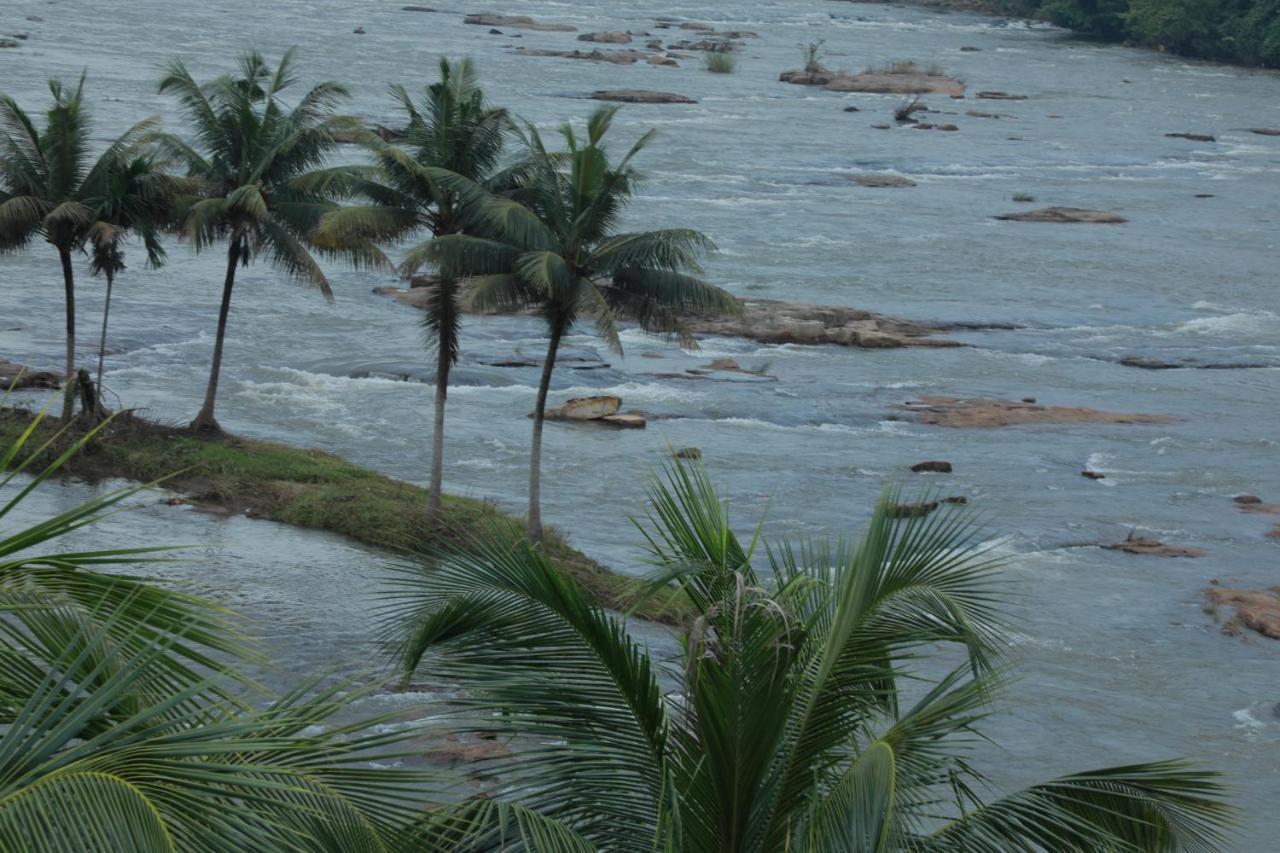 The Anchorage Athirapilly Resort Athirappilly Extérieur photo